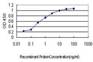 Detection limit for recombinant GST tagged SH3RF2 is approximately 0. (SH3RF2 抗体  (AA 640-729))