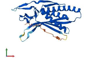 Protein Structure (PS) image for Chromosome 12 Open Reading Frame 44 (C12orf44) (AA 1-218) protein (His tag) (ABIN7552401)