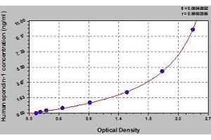Typical standard curve (SPON1 ELISA 试剂盒)