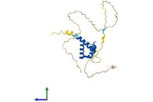 Protein Structure (PS) image for Homeobox A5 (HOXA5) (AA 1-270) protein (His tag) (ABIN7562763)