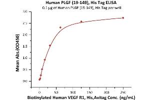 Immobilized Human PLGF (19-149), His Tag (ABIN6973196) at 1 μg/mL (100 μL/well) can bind Biotinylated Human VEGF R1, His,Avitag (ABIN5955009,ABIN6253629) with a linear range of 1-31 ng/mL (QC tested). (PLGF Protein (AA 19-149) (His tag))