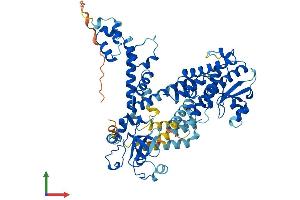 AlphaFold protein structure predicition of Mouse Recombinant Fbxo21 Protein, UniprotID Q8VDH1
