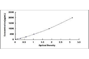 Typical standard curve (EGLN1 ELISA 试剂盒)
