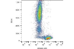 Flow cytometry analysis (surface staining) of human peripheral blood cells with anti-human CD229 (HLy9. (LY9 抗体  (APC))