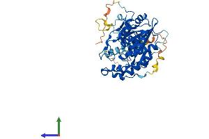 Protein Structure (PS) image for UDP-GlcNAc:betaGal beta-1,3-N-Acetylglucosaminyltransferase 6 (Core 3 Synthase) (B3GNT6) (AA 1-391) protein (His tag) (ABIN7557274)