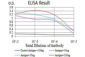 Black line: Control Antigen (100 ng), Purple line: Antigen(10 ng), Blue line: Antigen (50 ng), Red line: Antigen (100 ng), (ATF3 抗体  (AA 1-181))
