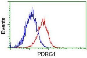 Flow cytometric Analysis of Hela cells, using anti-PDRG1 antibody (ABIN2455631), (Red), compared to a nonspecific negative control antibody, (Blue). (PDRG1 抗体)