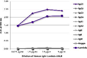 ELISA plate was coated with serially diluted Human IgG1 Lambda-UNLB and quantified. (Human IgG1 同型对照)