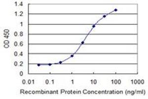 Detection limit for recombinant GST tagged MCCC2 is 0. (MCCC2 抗体  (AA 456-563))