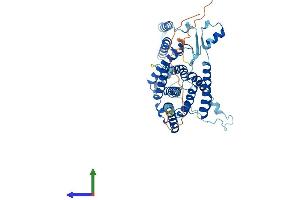 Protein Structure (PS) image for phosphatidylserine Synthase 2 (PTDSS2) (AA 1-473) protein (His tag) (ABIN7556396)