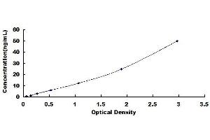 Typical standard curve (CXCR2 ELISA 试剂盒)