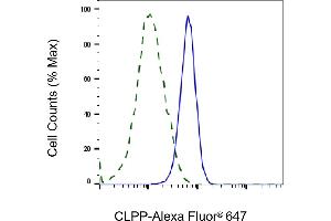 Validation of CLPP knockdown using flow cytometry.