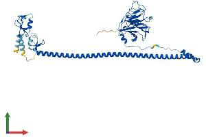 Protein Structure (PS) image for Tripartite Motif Containing 21 (TRIM21) (AA 1-475) protein (His tag) (ABIN7555262)