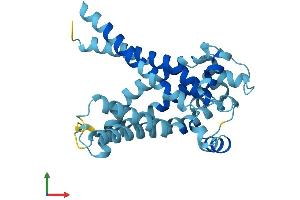 Protein Structure (PS) image for Solute Carrier Family 25 (Mitochondrial Carrier, Ornithine Transporter) Member 15 (SLC25A15) (AA 1-301) protein (His tag) (ABIN7556318)