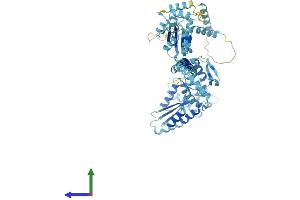 Protein Structure (PS) image for Adenylate Kinase 7 (AK7) (AA 1-614) protein (His tag) (ABIN7560912)