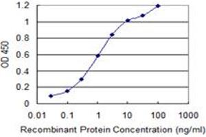 Detection limit for recombinant GST tagged KIT is 0. (KIT 抗体  (AA 41-140))