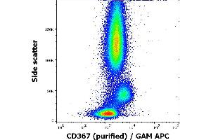 Flow cytometry surface staining pattern of human peripheral whole blood stained using anti-human CD367 (9E8) purified antibody (concentration in sample 0,6 μg/mL, GAM APC). (CLEC4A 抗体)