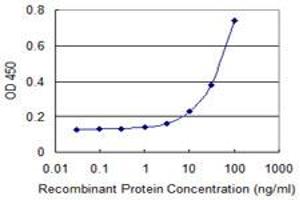 Detection limit for recombinant GST tagged SLC22A6 is 3 ng/ml as a capture antibody. (SLC22A6 抗体  (AA 451-550))