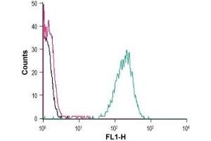 Cell surface detection of FFAR4 in live intact human THP-1 monocytic leukemia cells: (black line) Cells. (O3FAR1 抗体  (Extracellular))