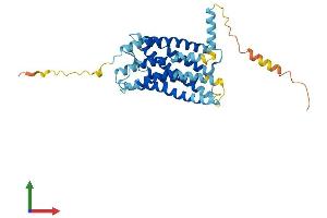 Protein Structure (PS) image for Chemokine (C-X3-C Motif) Receptor 1 (CX3CR1) (AA 1-354) protein (His tag) (ABIN7556337)