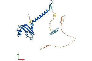 Protein Structure (PS) image for Mediator Complex Subunit 6 (MED6) (AA 1-246) protein (His tag) (ABIN7560188)