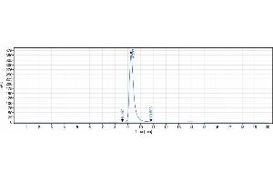 The purity of Anti-SLC1A5 / ASCT2 Reference Antibody (idactamab) is 99. (Recombinant SLC1A5 (Idactamab Biosimilar) 抗体)