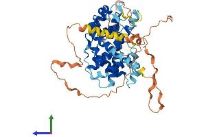 Protein Structure (PS) image for Cyclin J-Like (CCNJL) (AA 1-435) protein (His tag) (ABIN7553051)