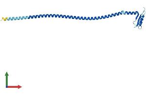 Protein Structure (PS) image for SPC24, NDC80 Kinetochore Complex Component, Homolog (SPC24) (AA 1-197) protein (His tag) (ABIN7546202)