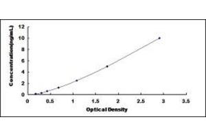 Typical standard curve (Septin 12 ELISA 试剂盒)