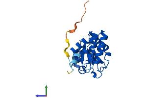 Protein Structure (PS) image for Dual Specificity Phosphatase 18 (DUSP18) (AA 1-188) protein (His tag) (ABIN7559879)