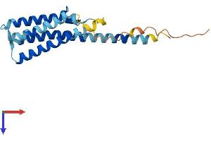 AlphaFold protein structure predicition of Human Recombinant TVP23B Protein, UniprotID Q9NYZ1 (TVP23C/FAM18B2 Protein (AA 1-205) (His tag))