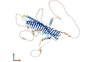 Protein Structure (PS) image for Junctophilin 1 (JPH1) (AA 1-661) protein (His tag) (ABIN7554228)