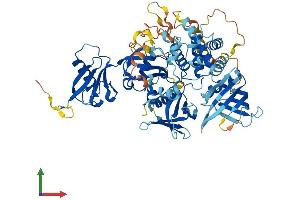 AlphaFold protein structure predicition of Mouse Recombinant Fermt2 Protein, UniprotID Q8CIB5