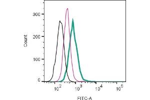 Cell surface detection of  by direct flow cytometry in live intact human  megakaryoblast leukemia cell line: + Rabbit IgG isotype control-FITC (ABIN7582044).