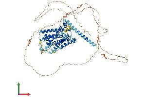 AlphaFold protein structure predicition of Human Recombinant GPR50 Protein, UniprotID Q13585