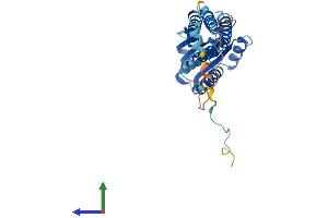 Protein Structure (PS) image for Dual Oxidase Maturation Factor 2 (DUOXA2) (AA 1-320) protein (His tag) (ABIN7547228)