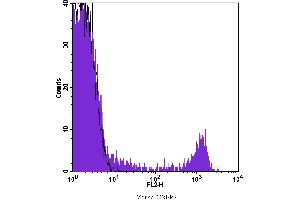 Flow Cytometry (FACS) image for anti-CD8 (CD8) antibody (PE) (ABIN2145435) (CD8 抗体  (PE))