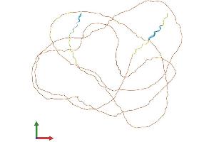 AlphaFold protein structure predicition of Mouse Recombinant Loricrin Protein, UniprotID P18165