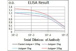 ELISA image for anti-Mitogen-Activated Protein Kinase 8 (MAPK8) antibody (ABIN1845583) (JNK 抗体)