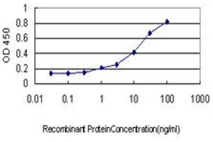Detection limit for recombinant GST tagged TPMT is approximately 0. (TPMT 抗体  (AA 1-245))