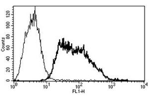 Flow Cytometry (FACS) image for anti-Selectin E (SELE) antibody (ABIN1106491) (Selectin E/CD62e 抗体)