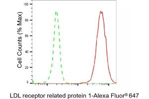 Flow cytometric analysis of LDL receptor related protein 1 expression in C2C12 cells using LDL receptor related protein 1 antibody (ABIN7799281), 1:2,000). (Recombinant LRP1 抗体)