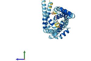 Protein Structure (PS) image for Solute Carrier Family 25, Member 47 (SLC25A47) (AA 1-308) protein (His tag) (ABIN7545942)