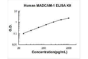 Mucosal Vascular Addressin Cell Adhesion Molecule 1 (MADCAM1) ELISA Kit