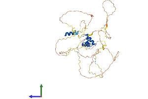AlphaFold protein structure predicition of Mouse Recombinant Lcor Protein, UniprotID Q6ZPI3