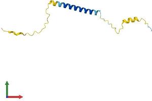 Protein Structure (PS) image for Small Cell Adhesion Glycoprotein (SMAGP) (AA 1-97) protein (His tag) (ABIN7560336)