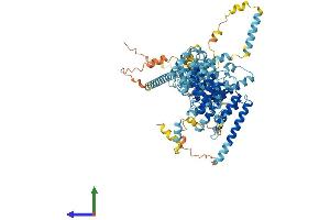 Protein Structure (PS) image for Nucleolar Complex Associated 3 Homolog (NOC3L) (AA 1-800) protein (His tag) (ABIN7549796)