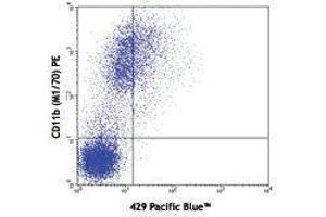 Flow Cytometry (FACS) image for anti-Vascular Cell Adhesion Molecule 1 (VCAM1) antibody (Pacific Blue) (ABIN2662190) (VCAM1 抗体  (Pacific Blue))