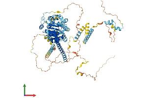 Protein Structure (PS) image for DEAD (Asp-Glu-Ala-Asp) Box Polypeptide 27 (DDX27) (AA 1-796) protein (His tag) (ABIN7553640)
