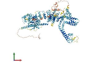 Protein Structure (PS) image for Transient Receptor Potential Cation Channel, Subfamily M, Member 5 (TRPM5) (AA 1-1165) protein (His tag) (ABIN7555878)